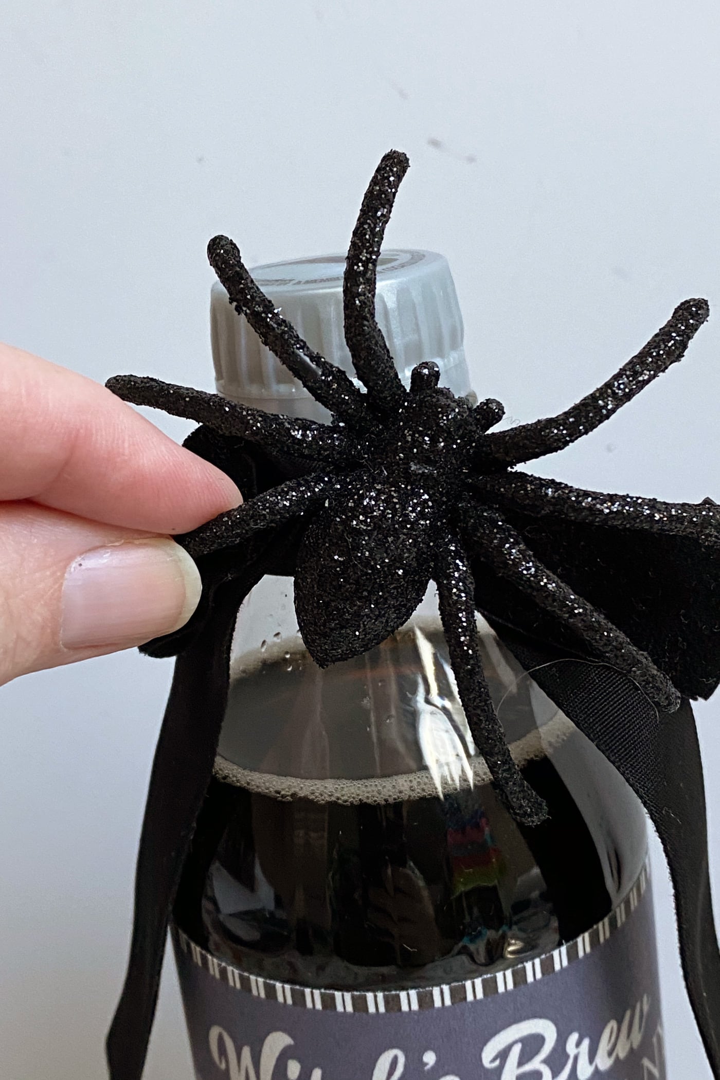 Tampilan jarak dekat dari laba-laba berkilau hitam pada botol soda