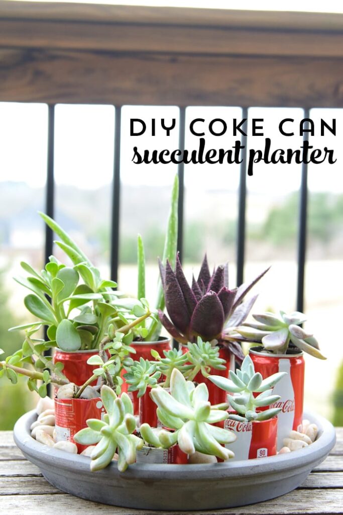 Diy coke can succulent planter - une façon astucieuse de recycler ces adorables mini canettes de coke