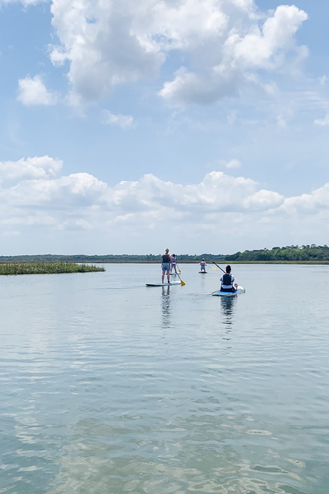 4 personnes sur des paddleboards dans l'eau